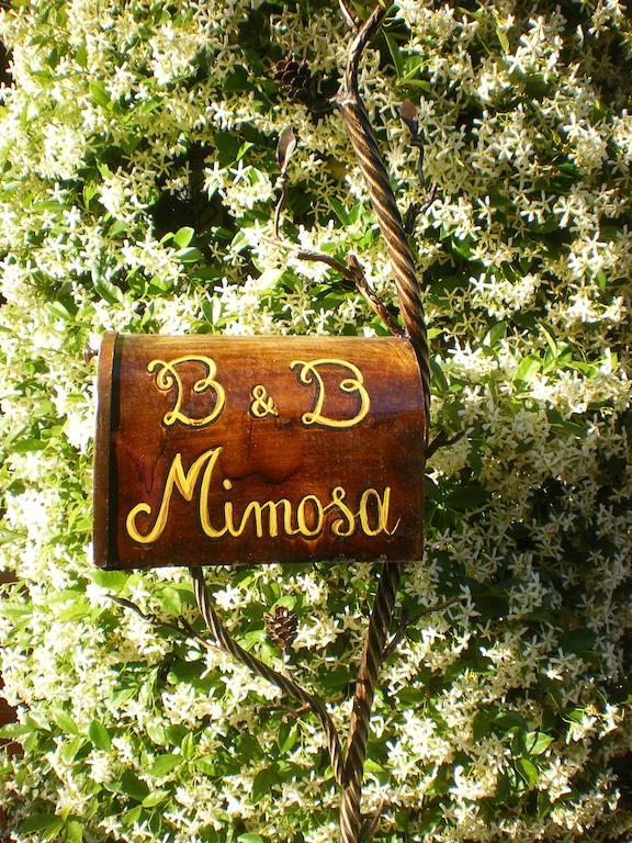 Bed And Breakfast Mimosa Cascina Exterior photo
